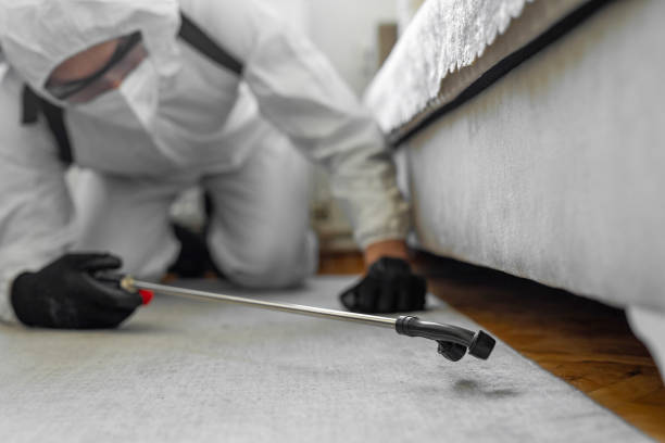 Professional Termite Control technician working in Warsaw, NC