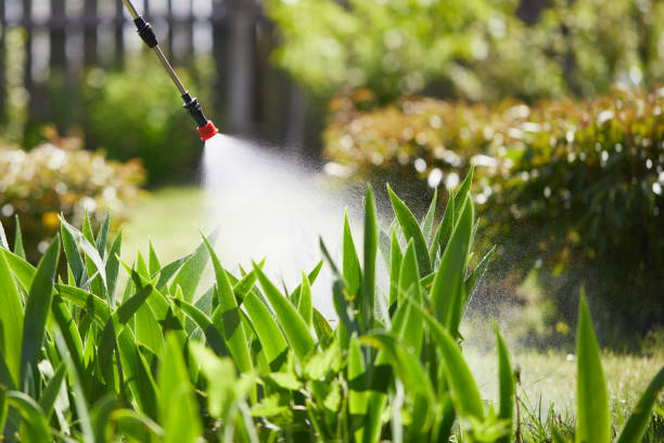 24/7 Emergency Termite Control experts in Warsaw, NC