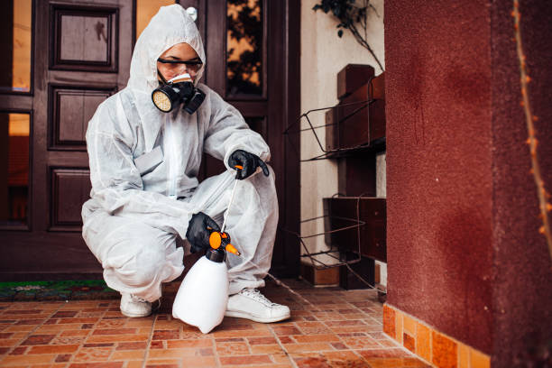 Reliable Termite Control contractor in Warsaw, NC by Nex Pest Control