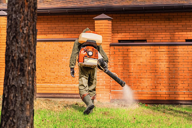 Trusted Bed Bug Control service in Warsaw, NC - Nex Pest Control